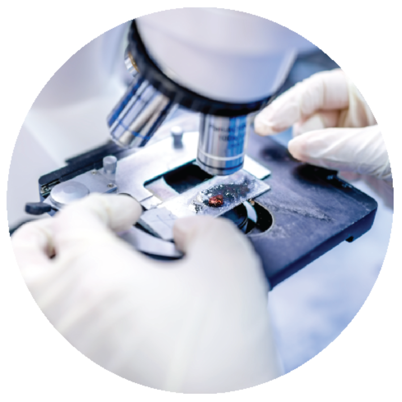 A professional using a microscope to examine specimens